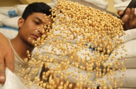 Kontrol Distribusi Kedelai Sebaiknya oleh Bulog